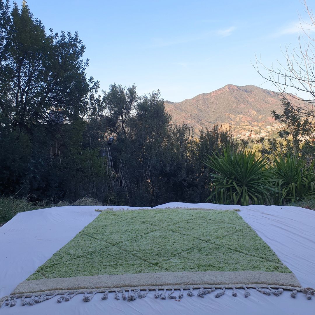 Mdala | Green Moroccan Rug 6x10 Soft Beni Ourain | Berber Handmade Wool Carpet | 6'89x10'07 Ft | 210x307 cm - OunizZ