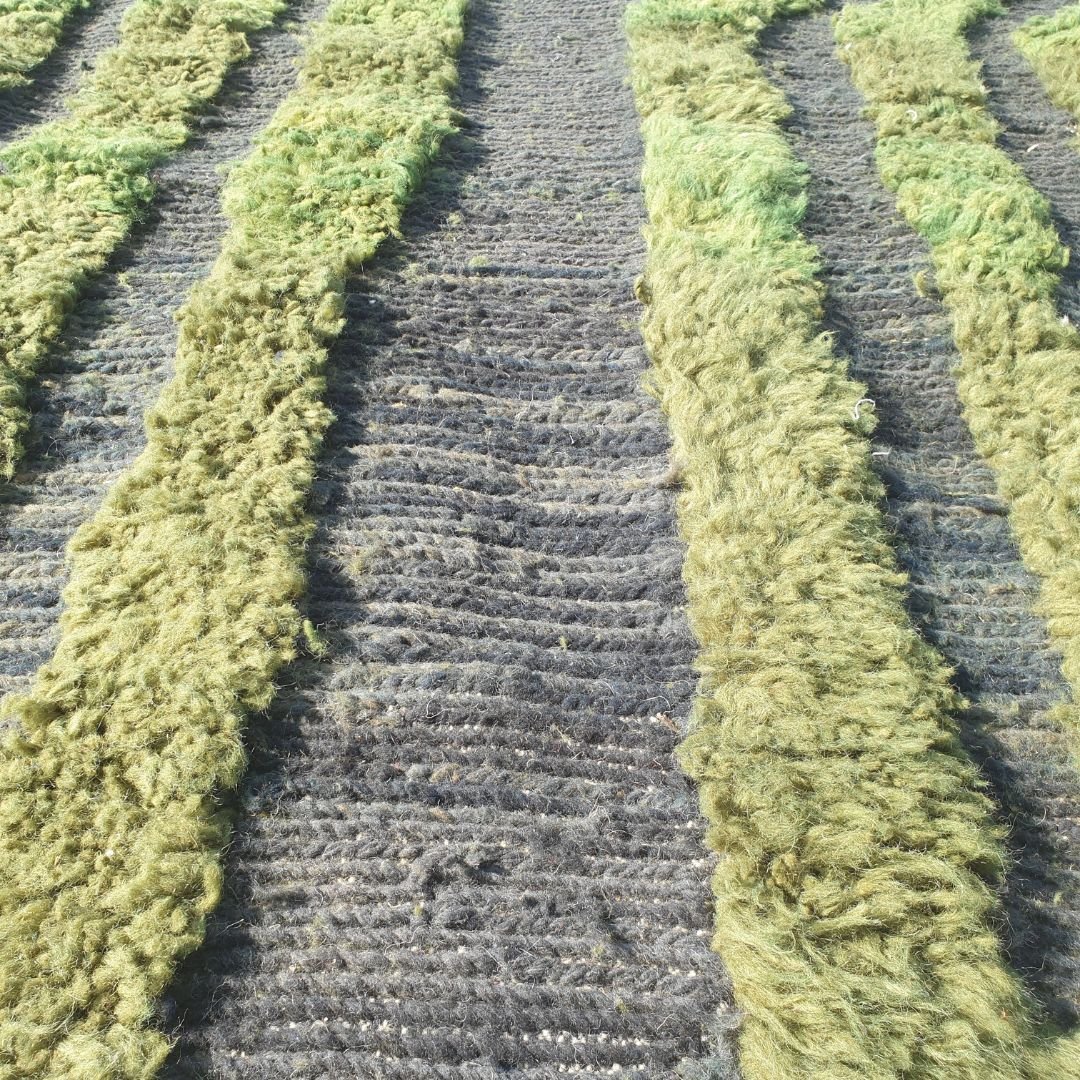 Salkhia | Sage Green Beni Ourain Moroccan Rug 7x10 - Handwoven Ultra - Soft | 7'41x10'33 Ft | 226x315 cm - OunizZ