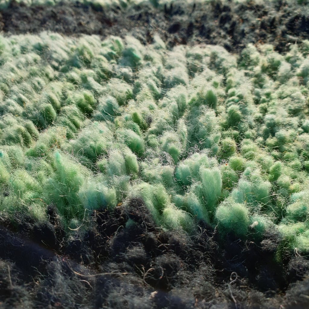 MOROCCAN BOUJAAD RUG | Moroccan Berber Rug | Colorful Rug Moroccan Carpet | Authentic Handmade Berber Living room Rugs | 13'3x9'8 Ft | 406x298 cm - OunizZ