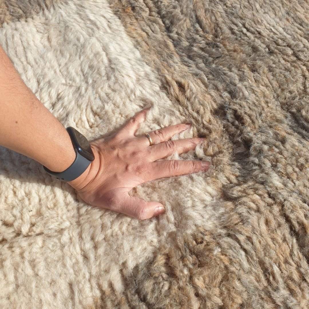 Ultra soft fluffy high-pile wool texture detail of ivory Beni Ourain plush shag rug