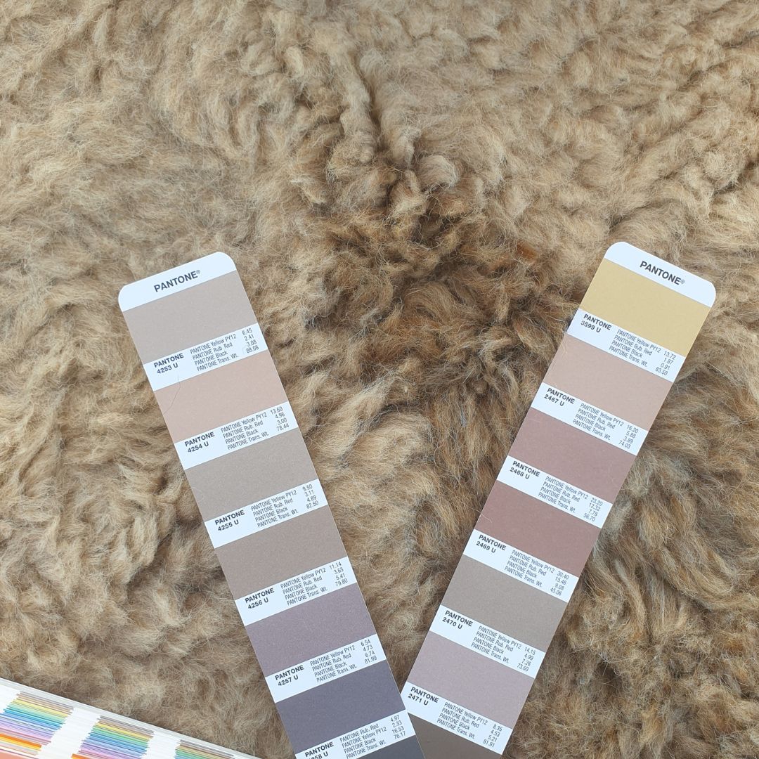 Dmija | 6x9 Beni Ourain Moroccan Rug - Soft Ivory Plush Shag with Black Diamond Lines Wool Berber Carpet | 6'10"x9'9" Ft | 209x298 cm - OunizZ