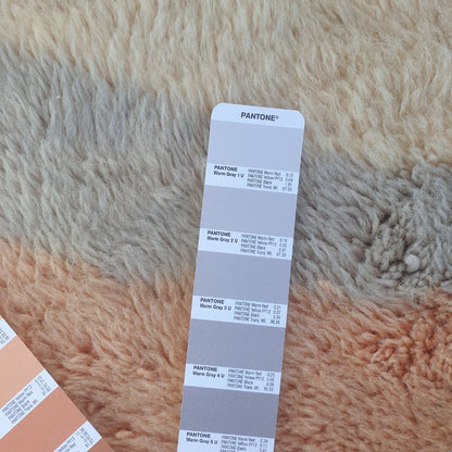 Hniwna | 6x9 Beni Mrirt Moroccan Rug - Luxury Pastel Red Plush Wool Berber Carpet | 6'7"x9'8" Ft | 202x296 cm - OunizZ