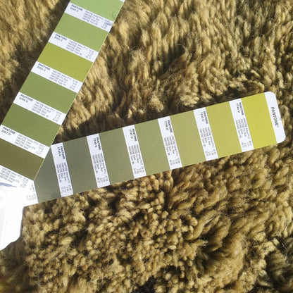 Kitia - 5x8 Olive Green Moroccan Shag Rug - Luxury Beni Mrirt Wool Rug | 5'08x8'17 ft - 155x249 cm - OunizZ