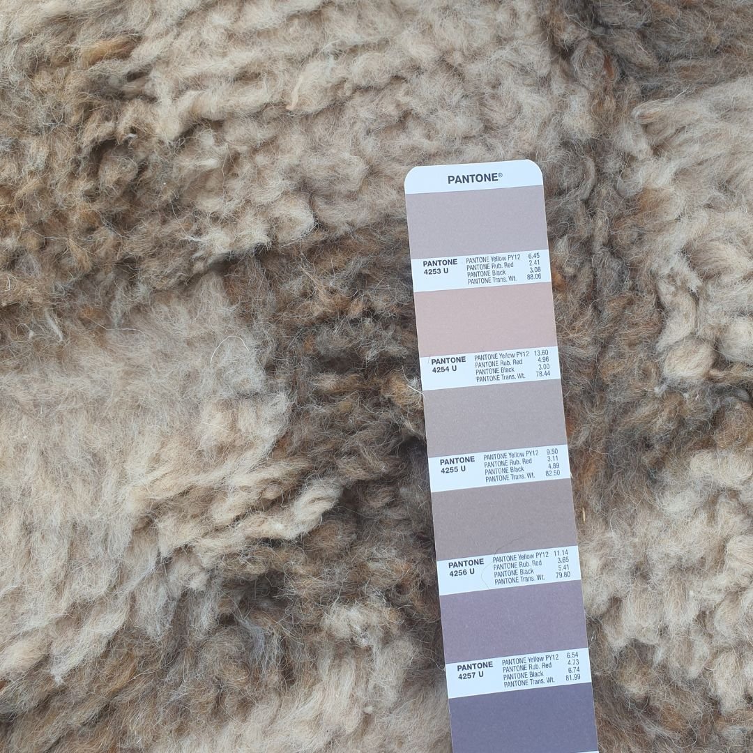 Zada | 6x9 Beni Ourain Moroccan Rug - Soft Ivory Plush Shag with Beige Chevron Zigzag Wool Berber Carpet | 6'6"x9'11" Ft | 199x303 cm - OunizZ