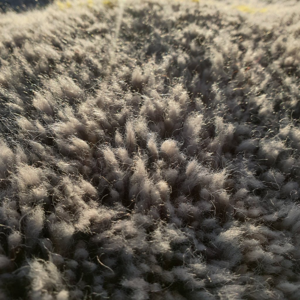 Handcrafted BENI MOROCCAN RUG | Dye Wool Authentic & Soft Rug | Berber Moroccan Rug | Moroccan Woolen Carpet GARYA | 9'6x6'9 Ft | 2,92x2,09 m - OunizZ