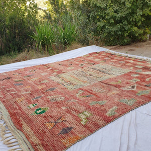 Sarjane | MOROCCAN RUG BOUJAD | Moroccan Berber Rug | Colorful Rug Moroccan Carpet | Authentic Handmade Berber Living room Rugs | 13'75x10'17 Ft | 419x310 cm - OunizZ