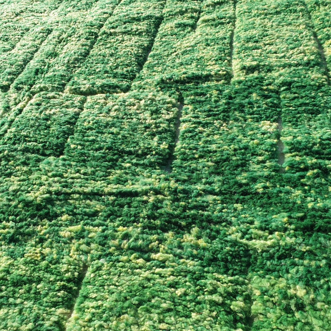 Wayal | Moroccan rug Beni Ouarain Ultra Soft | 9'78x6'62 Ft | 2x3 m | Moroccan Colorful Beni Ouarain Rug | 100% wool handmade - OunizZ